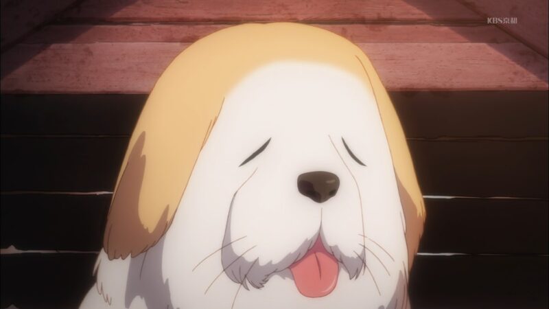 ラブライブ 千歌 このぉ バカ犬ー しいたけがやってそうな事 みゃおーん